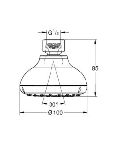 Grohe Tempesta New - Hoofddouche 100, 1 Straalsoort, Chroom 26050001 -Hansgrohe Winkel 5d2e6cc3abdd91330b5833fd