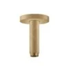 Hansgrohe Toebehoren - Plafondbevestiging S 100 Mm, Geborsteld Brons 27393140 -Hansgrohe Winkel 8e3af9d6b107a5b710cc4812