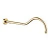 Kludi Adlon - Douchearm, 415 Mm, Goud 2751445 -Hansgrohe Winkel e34fc40af67aaeacf427a1d7