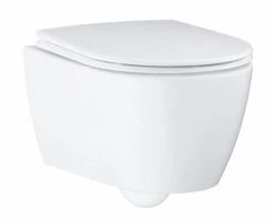 Grohe Essence - Wandcloset, Rimless, PureGuard, Alpine Wit 3957100H 14 Grohe Essence - Wandcloset, Rimless, PureGuard, Alpine Wit 3957100H -Hansgrohe Winkel ec3600ff05b75f68a9dd54b7